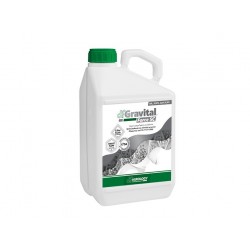 ΓΚΡΑΒΙΤΑΛ GRAVITAL FORCE SC 10Lt