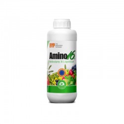 AMINO 16, 1L