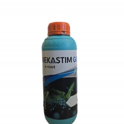 DEKASTIM GO x-root 6-12-4 1Lt