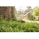 STIHL ΘΑΜΝΟΚΟΠΤΙΚΟ FSA 57 AUTOCUT C3-2
