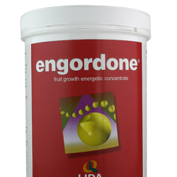 ENGORDONE 1 Kg
